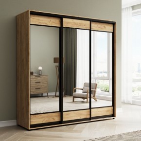 Шкаф-купе Акцент-Лайт З 1500-600 в Александровском - alexsandrovskoe.mebel24.online | фото 4