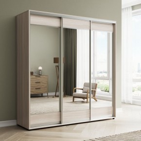 Шкаф-купе Акцент-Лайт З 1500-600 в Александровском - alexsandrovskoe.mebel24.online | фото 6