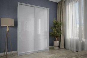 Шкаф-купе Байкал-2 в Александровском - alexsandrovskoe.mebel24.online | фото 3