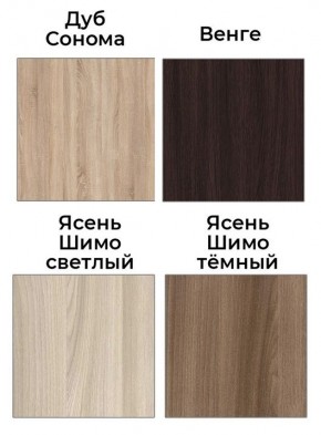 Шкаф-купе Элвис 1500 вариант 1 (ЛДСП/ЛДСП) в Александровском - alexsandrovskoe.mebel24.online | фото