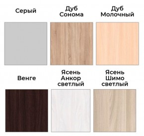 Шкаф-купе ХИТ 22-17-66 (620) в Александровском - alexsandrovskoe.mebel24.online | фото 3