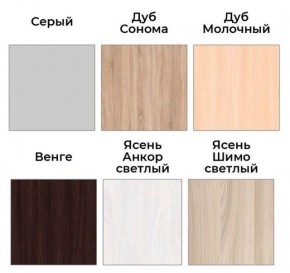 Шкаф-купе ХИТ 22-18-888 (620) в Александровском - alexsandrovskoe.mebel24.online | фото 3