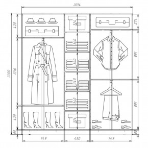 Шкаф-купе ХИТ 22-4-20-222 (420) в Александровском - alexsandrovskoe.mebel24.online | фото 2