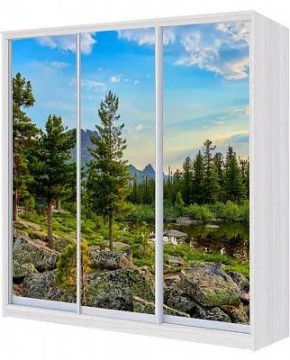 Шкаф-купе ХИТ 22-4-20-777 ПРИРОДА в Александровском - alexsandrovskoe.mebel24.online | фото