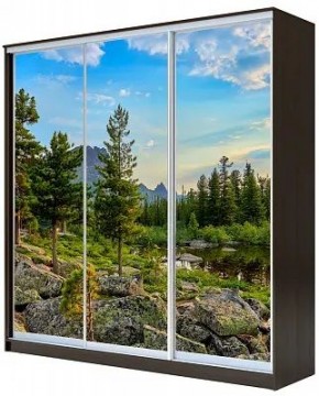 Шкаф-купе ХИТ 23-18-777 ПРИРОДА в Александровском - alexsandrovskoe.mebel24.online | фото