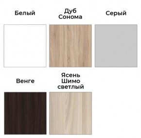Шкаф-купе ХИТ 23-24/2-7777 (620) в Александровском - alexsandrovskoe.mebel24.online | фото 2