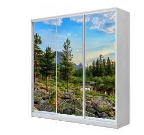Шкаф-купе ХИТ 23-4-20-777 (420) в Александровском - alexsandrovskoe.mebel24.online | фото 1