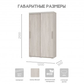 Шкаф-купе ШКК-11 (ясень белый) в Александровском - alexsandrovskoe.mebel24.online | фото 7