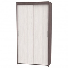Шкаф-купе T-1-230х120х60 "ТОП" в Александровском - alexsandrovskoe.mebel24.online | фото 13