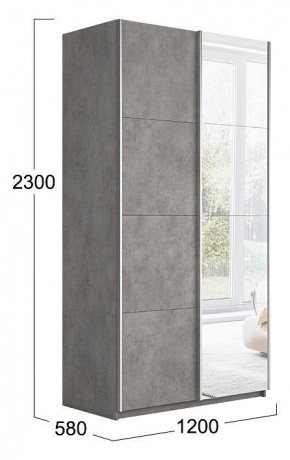 Шкаф-купе Траст СШК 2.120.60-11.13 в Александровском - alexsandrovskoe.mebel24.online | фото 3
