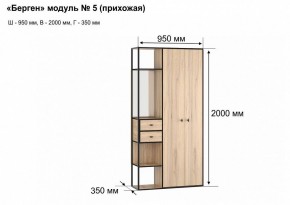 Шкаф платяной Берген-5 в Александровском - alexsandrovskoe.mebel24.online | фото 7