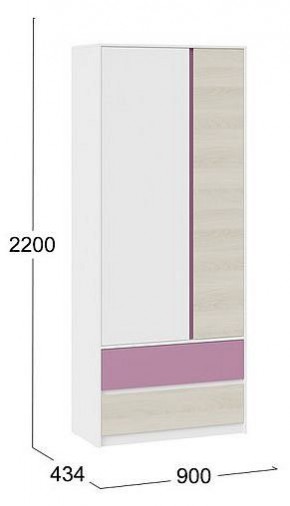 Шкаф платяной Сканди в Александровском - alexsandrovskoe.mebel24.online | фото 5