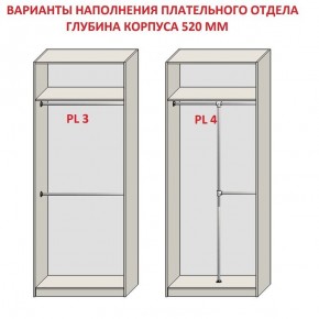 Шкаф распашной серия «ЗЕВС» (PL3/С1/PL2) в Александровском - alexsandrovskoe.mebel24.online | фото 10