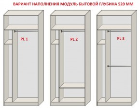 Шкаф распашной серия «ЗЕВС» (PL3/С1/PL2) в Александровском - alexsandrovskoe.mebel24.online | фото 5