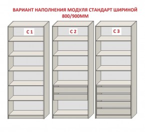 Шкаф распашной серия «ЗЕВС» (PL3/С1/PL2) в Александровском - alexsandrovskoe.mebel24.online | фото 6