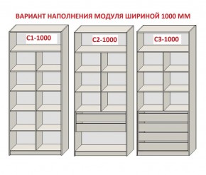 Шкаф распашной серия «ЗЕВС» (PL3/С1/PL2) в Александровском - alexsandrovskoe.mebel24.online | фото 7