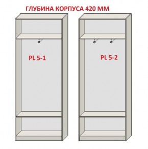 Шкаф распашной серия «ЗЕВС» (PL3/С1/PL2) в Александровском - alexsandrovskoe.mebel24.online | фото 8