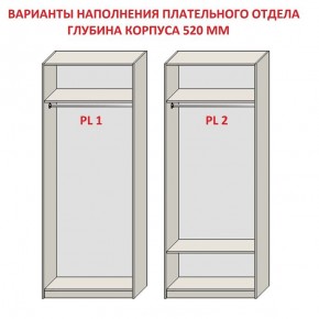 Шкаф распашной серия «ЗЕВС» (PL3/С1/PL2) в Александровском - alexsandrovskoe.mebel24.online | фото 9