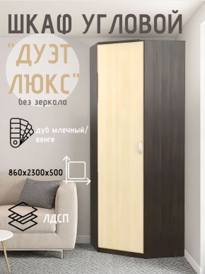 Шкаф угловой Дуэт Люкс без зеркала в Александровском - alexsandrovskoe.mebel24.online | фото 3