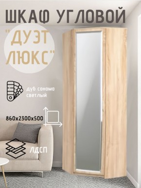 Шкаф угловой Дуэт Люкс с зеркалом в Александровском - alexsandrovskoe.mebel24.online | фото