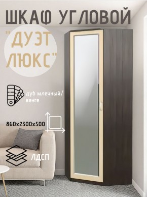 Шкаф угловой Дуэт Люкс с зеркалом в Александровском - alexsandrovskoe.mebel24.online | фото 5