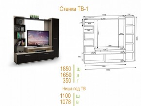 Стенка для гостиной ТВ-1 в Александровском - alexsandrovskoe.mebel24.online | фото 2