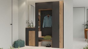 Стенка для прихожей Асти в Александровском - alexsandrovskoe.mebel24.online | фото