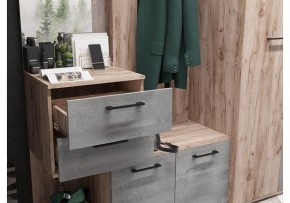 Стенка для прихожей Бостон в Александровском - alexsandrovskoe.mebel24.online | фото 4