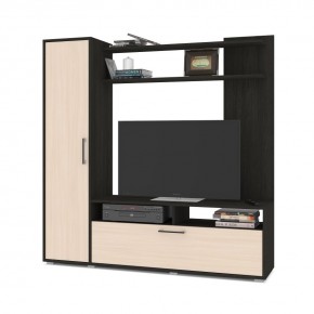 РИГА Стенка в Александровском - alexsandrovskoe.mebel24.online | фото 7