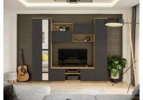 Стенки для гостиной Бертелена в Александровском - alexsandrovskoe.mebel24.online | фото 2