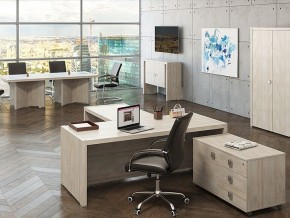 Стол для переговоров Solid в Александровском - alexsandrovskoe.mebel24.online | фото 2