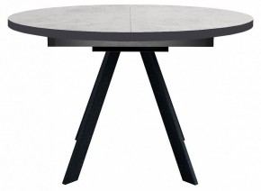 Стол обеденный RD100 в Александровском - alexsandrovskoe.mebel24.online | фото