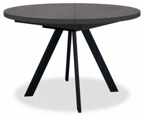 Стол обеденный RD100 в Александровском - alexsandrovskoe.mebel24.online | фото