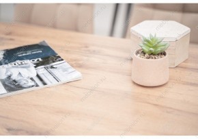 Стол обеденный Тринити Лофт 120 в Александровском - alexsandrovskoe.mebel24.online | фото 6