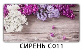 Стол раздвижной Трилогия с фотопечатью Доска D111 в Александровском - alexsandrovskoe.mebel24.online | фото 16