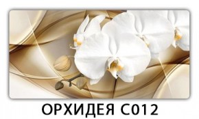 Стол раздвижной Трилогия с фотопечатью Доска D112 в Александровском - alexsandrovskoe.mebel24.online | фото 13