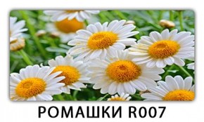Стол раздвижной Трилогия с фотопечатью Лайм R156 в Александровском - alexsandrovskoe.mebel24.online | фото 15