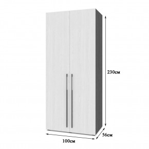 СТОУН С23 Шкаф 2-х створчатый (дуб золотой/графит) в Александровском - alexsandrovskoe.mebel24.online | фото 2