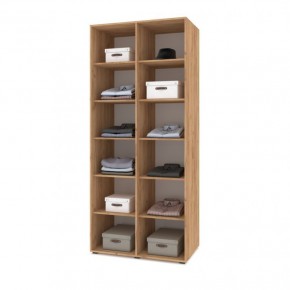 СТОУН С23 Шкаф 2-х створчатый (дуб золотой/графит) в Александровском - alexsandrovskoe.mebel24.online | фото 3