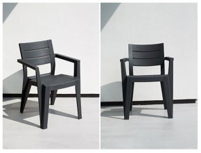 Стул Джули (Julie dining chair) графит в Александровском - alexsandrovskoe.mebel24.online | фото 2