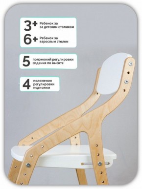 Стул Эверест в Александровском - alexsandrovskoe.mebel24.online | фото 5