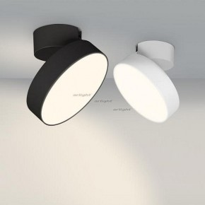 Светильник на штанге Arlight SP-RONDO-FLAP-R210-20W Day4000 (BK, 110 deg) 026453 в Александровском - alexsandrovskoe.mebel24.online | фото 3