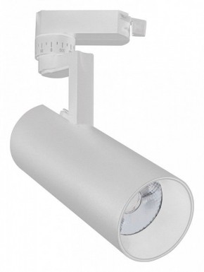 Светильник на штанге Escada 20029 20029TRA/02LED SWH в Александровском - alexsandrovskoe.mebel24.online | фото