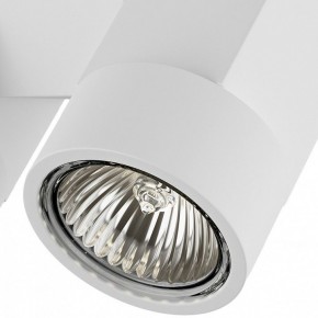 Светильник на штанге Lightstar Illumo X2 051036 в Александровском - alexsandrovskoe.mebel24.online | фото 2