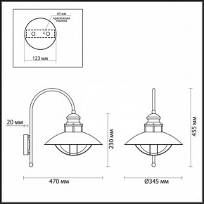 Светильник на штанге Odeon Light Dante 4164/1WA в Александровском - alexsandrovskoe.mebel24.online | фото 5