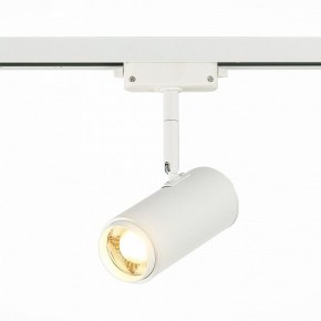 Светильник на штанге ST-Luce Zoom ST600.536.12 в Александровском - alexsandrovskoe.mebel24.online | фото 2