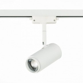 Светильник на штанге ST-Luce Zoom ST600.546.12 в Александровском - alexsandrovskoe.mebel24.online | фото 3