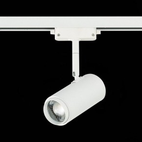 Светильник на штанге ST-Luce Zoom ST600.546.12 в Александровском - alexsandrovskoe.mebel24.online | фото 5