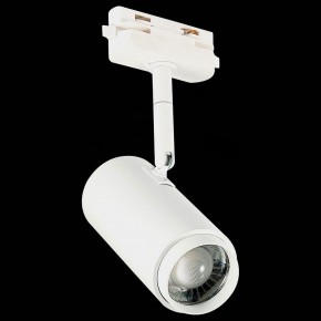 Светильник на штанге ST-Luce Zoom ST600.546.12 в Александровском - alexsandrovskoe.mebel24.online | фото 6