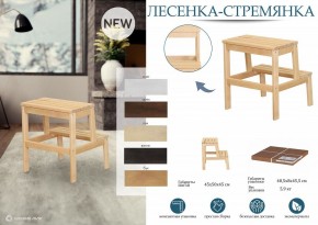 Табурет Стремянка в Александровском - alexsandrovskoe.mebel24.online | фото 6